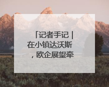 记者手记｜在小镇达沃斯，欧企展望牵手中国AI
