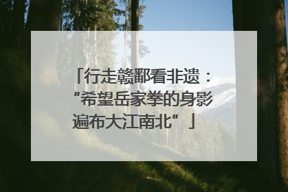 行走赣鄱看非遗：“希望岳家拳的身影遍布大江南北”