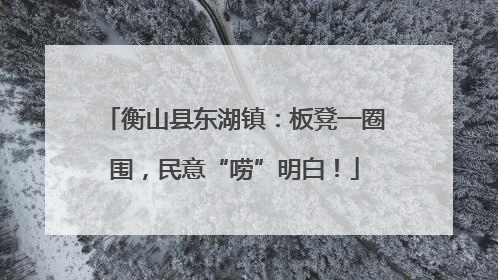 衡山县东湖镇：板凳一圈围，民意“唠”明白！