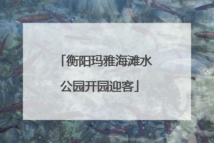 衡阳玛雅海滩水公园开园迎客