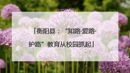衡阳县：“知路·爱路·护路”教育从校园抓起