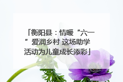 衡阳县：情暖“六一”爱润乡村 这场助学活动为儿童成长添彩