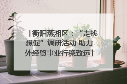 衡阳蒸湘区：“走找想促”调研活动 助力外经贸事业行稳致远