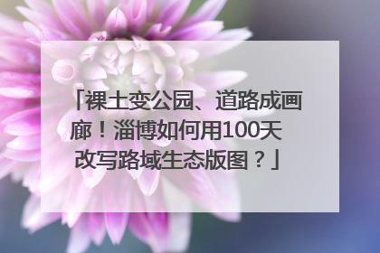 裸土变公园、道路成画廊！淄博如何用100天改写路域生态版图？