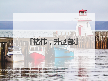 褚伟，升副部