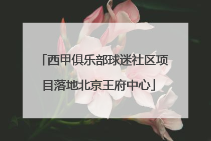 西甲俱乐部球迷社区项目落地北京王府中心