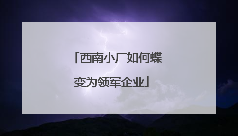 西南小厂如何蝶变为领军企业