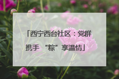 西宁西台社区：党群携手 “粽”享温情