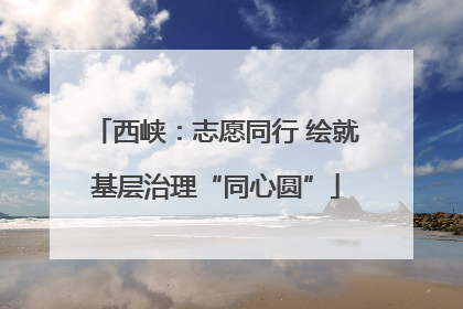 西峡：志愿同行 绘就基层治理“同心圆”