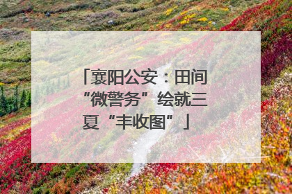 襄阳公安：田间“微警务”绘就三夏“丰收图”