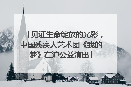 见证生命绽放的光彩，中国残疾人艺术团《我的梦》在沪公益演出