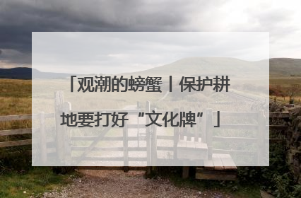 观潮的螃蟹丨保护耕地要打好“文化牌”