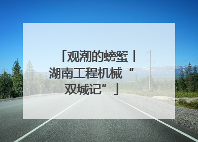 观潮的螃蟹丨湖南工程机械“双城记”