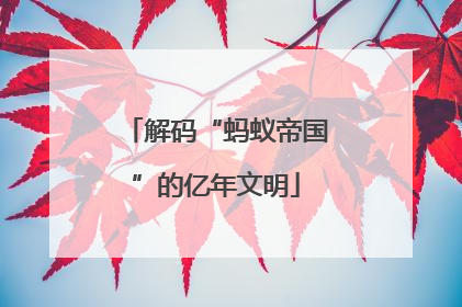 解码“蚂蚁帝国”的亿年文明