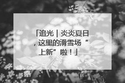 追光｜炎炎夏日，这里的滑雪场“上新”啦！
