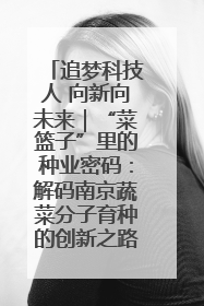 追梦科技人 向新向未来｜“菜篮子”里的种业密码：解码南京蔬菜分子育种的创新之路