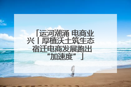 运河潮涌 电商业兴丨厚植沃土筑生态 宿迁电商发展跑出“加速度”