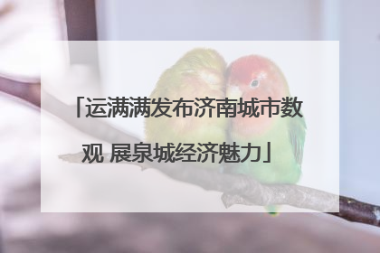 运满满发布济南城市数观 展泉城经济魅力