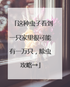 这种虫子看到一只家里很可能有一万只，除虫攻略→