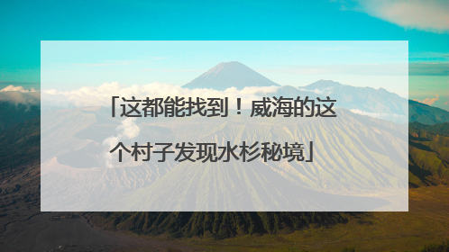 这都能找到！威海的这个村子发现水杉秘境