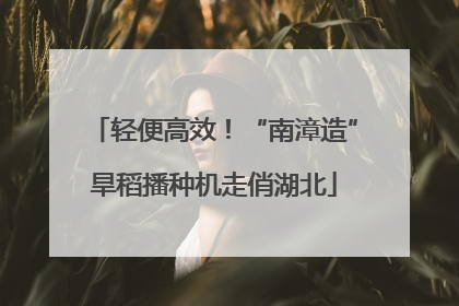 轻便高效！“南漳造”旱稻播种机走俏湖北