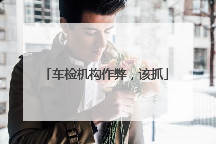 车检机构作弊，该抓