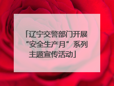 辽宁交警部门开展“安全生产月”系列主题宣传活动