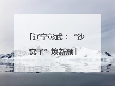 辽宁彰武：“沙窝子”焕新颜