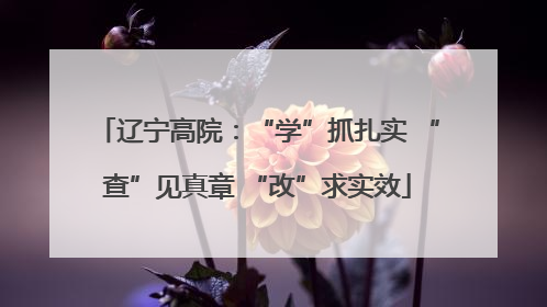 辽宁高院：“学”抓扎实 “查”见真章 “改”求实效