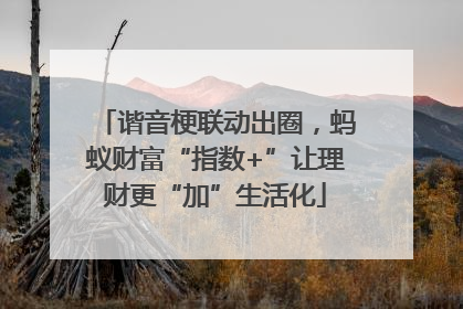 谐音梗联动出圈，蚂蚁财富“指数+”让理财更“加”生活化