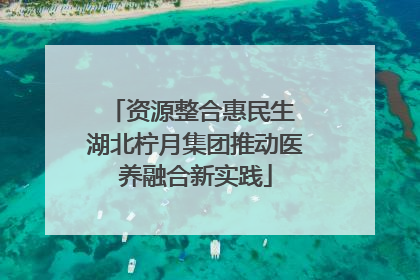 资源整合惠民生 湖北柠月集团推动医养融合新实践