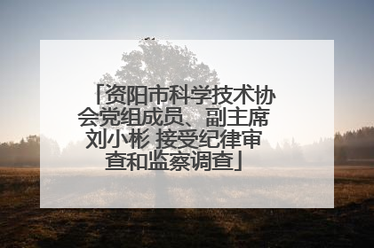 资阳市科学技术协会党组成员、副主席刘小彬 接受纪律审查和监察调查