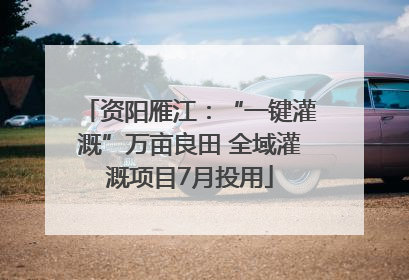 资阳雁江：“一键灌溉”万亩良田 全域灌溉项目7月投用