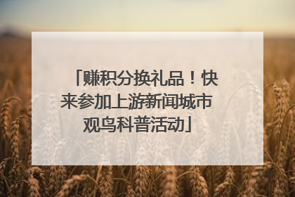 赚积分换礼品！快来参加上游新闻城市观鸟科普活动