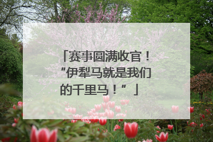 赛事圆满收官！“伊犁马就是我们的千里马！”