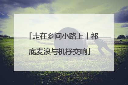 走在乡间小路上丨祁底麦浪与机杼交响