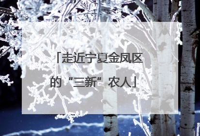 走近宁夏金凤区的“三新”农人
