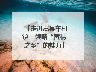 走进嵩县车村镇—领略“黄精之乡”的魅力