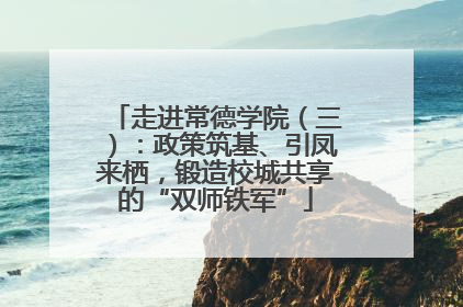 走进常德学院（三）：政策筑基、引凤来栖，锻造校城共享的“双师铁军”