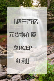 超三百亿元货物在厦享RCEP红利