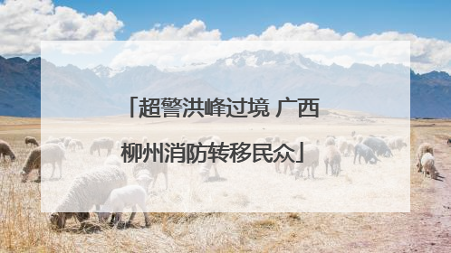 超警洪峰过境 广西柳州消防转移民众