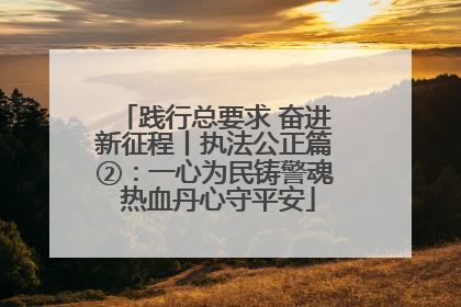 践行总要求 奋进新征程丨执法公正篇②：一心为民铸警魂 热血丹心守平安