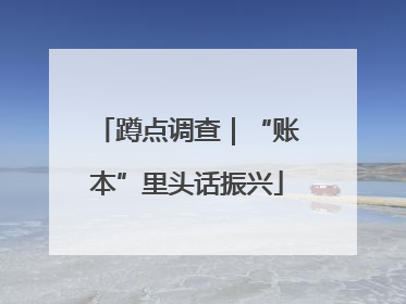 蹲点调查｜“账本”里头话振兴