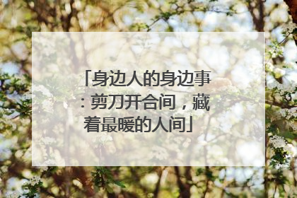 身边人的身边事：剪刀开合间，藏着最暖的人间