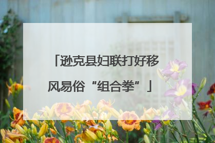 逊克县妇联打好移风易俗“组合拳”