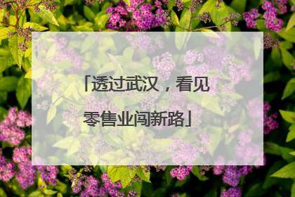 透过武汉，看见零售业闯新路