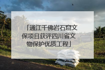 通江千佛岩石窟文保项目获评四川省文物保护优质工程