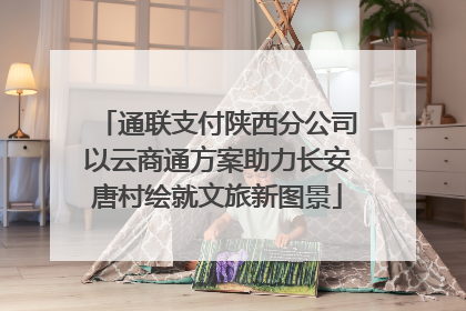 通联支付陕西分公司以云商通方案助力长安唐村绘就文旅新图景