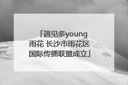 遇见多young雨花 长沙市雨花区国际传播联盟成立