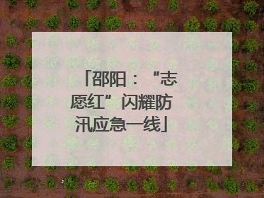 邵阳：“志愿红”闪耀防汛应急一线
